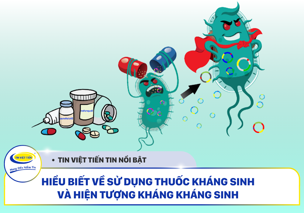 Hiểu Biết Về Sử Dụng Thuốc Kháng Sinh và Hiện Tượng Kháng Kháng Sinh