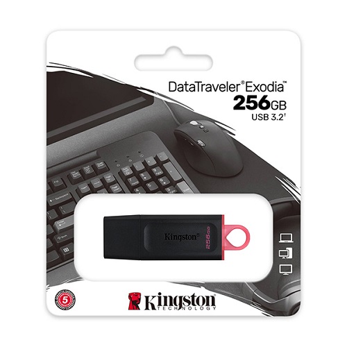 USB 3.2 Gen 1 Kingston DataTraveler Exodia 256GB DTX - Chính Hãng